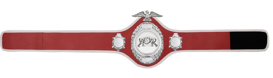 GRAPPLING CHAMPIONSHIP BELT - PRO288/S/GRAPS - 10 COLOURS GRAPPLING CHAMPIONSHIP BELT - PRO288/S/GRAPS - 10 COLOURS